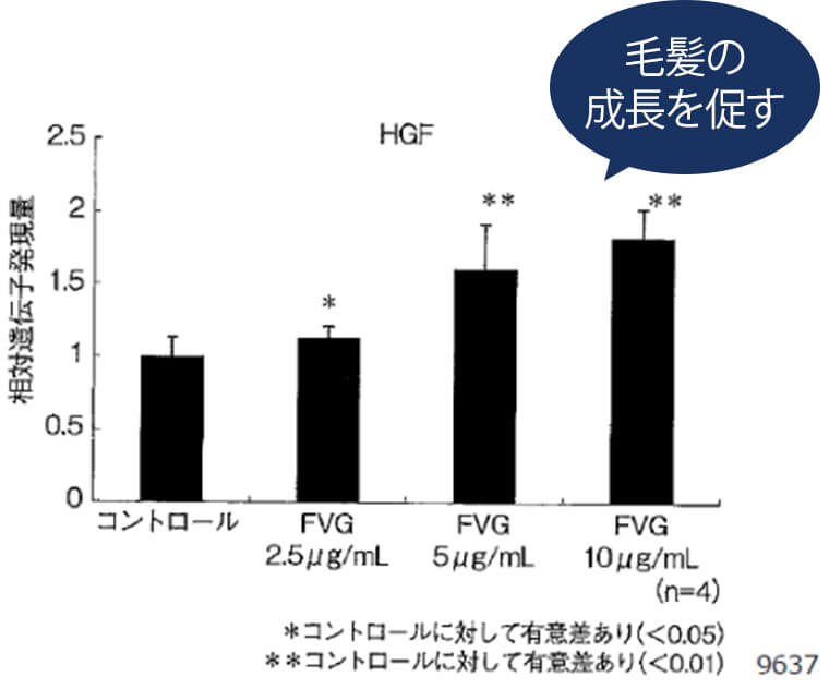 HGF(肝細胞増殖因子)とは?