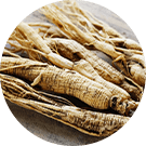 オタネニンジン